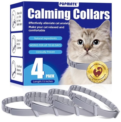 199 cats kittens - #199,