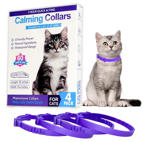 Calming collar for cats - for,